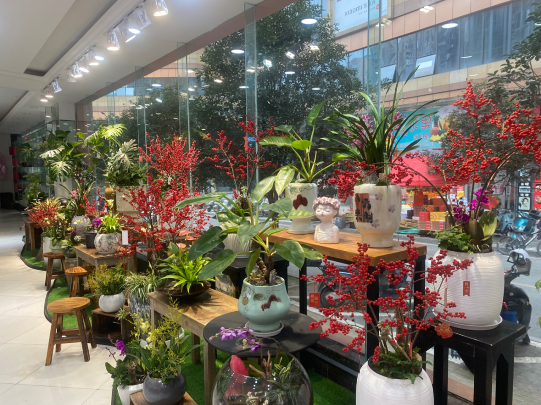 博思花藝婚慶教育，婚慶培訓，花藝培訓，插花培訓，花藝師培訓，主持人培訓，商務(wù)主持人培訓，花店運營培訓，花店全系統(tǒng)營銷，小白開花店，小白學主持，金璽棠婚慶酒店，金璽棠總部，鄭州金麻雀教育科技有限公司