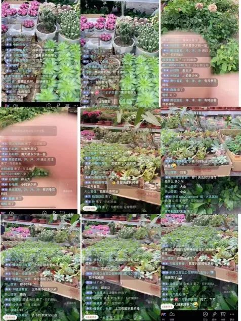 博思花藝婚慶教育，婚慶培訓(xùn)，花藝培訓(xùn)，插花培訓(xùn)，花藝師培訓(xùn)，主持人培訓(xùn)，商務(wù)主持人培訓(xùn)，花店運營培訓(xùn)，花店全系統(tǒng)營銷，小白開花店，小白學(xué)主持，金璽棠婚慶酒店，金璽棠總部，鄭州金麻雀教育科技有限公司