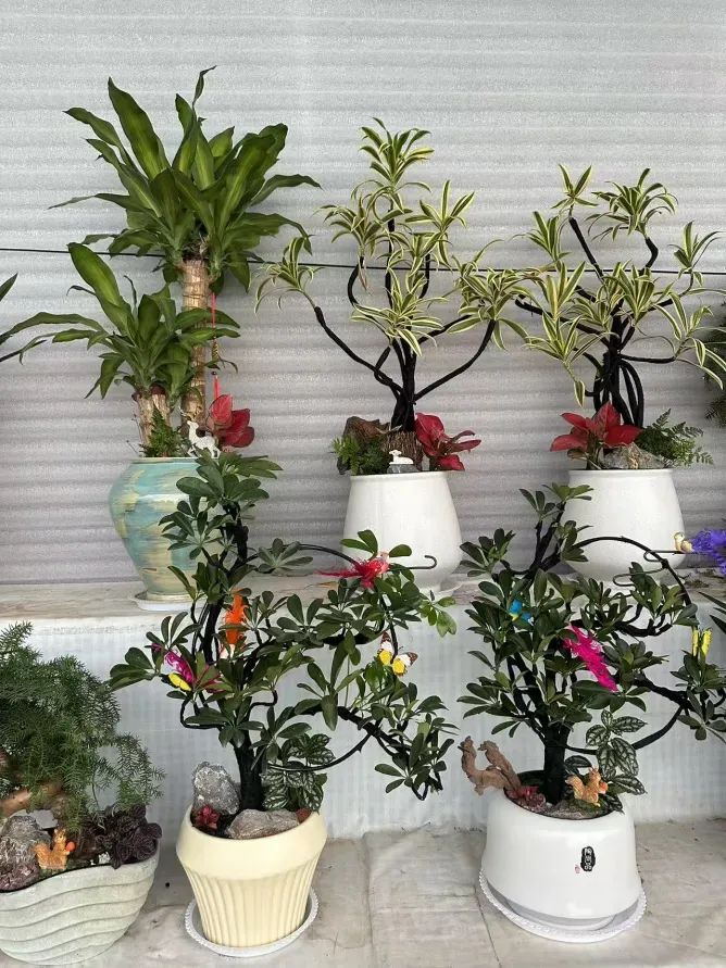 博思花藝婚慶教育，婚慶培訓(xùn)，花藝培訓(xùn)，插花培訓(xùn)，花藝師培訓(xùn)，主持人培訓(xùn)，商務(wù)主持人培訓(xùn)，花店運營培訓(xùn)，花店全系統(tǒng)營銷，小白開花店，小白學(xué)主持，金璽棠婚慶酒店，金璽棠總部，鄭州金麻雀教育科技有限公司